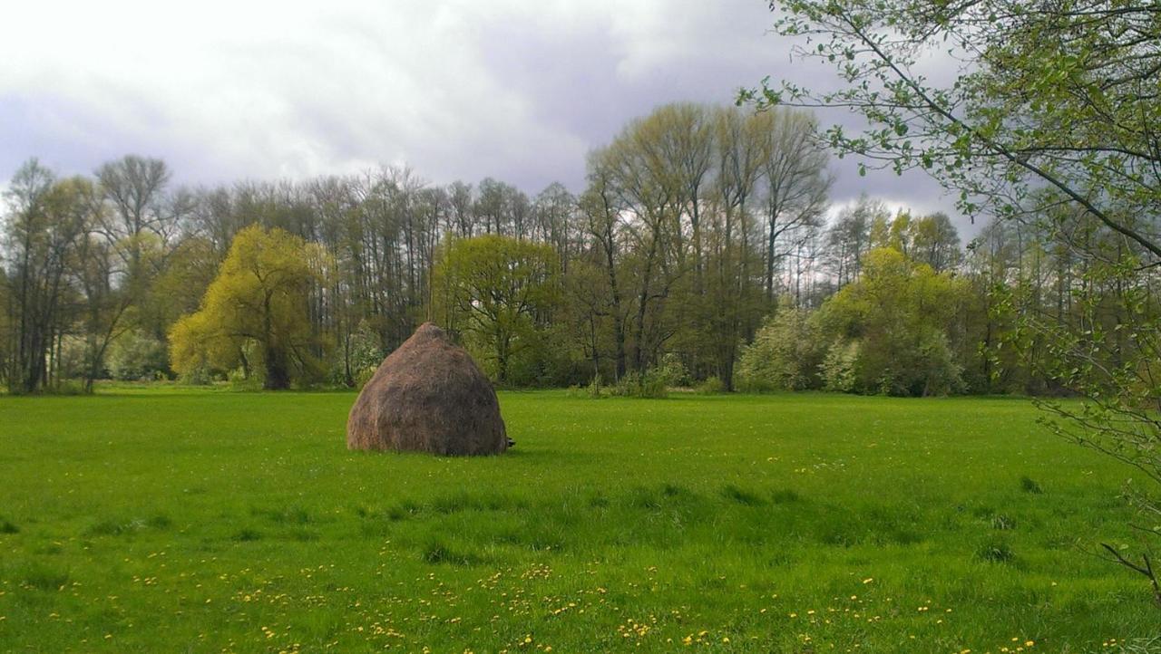 Bludnik Maison d'hôtes *